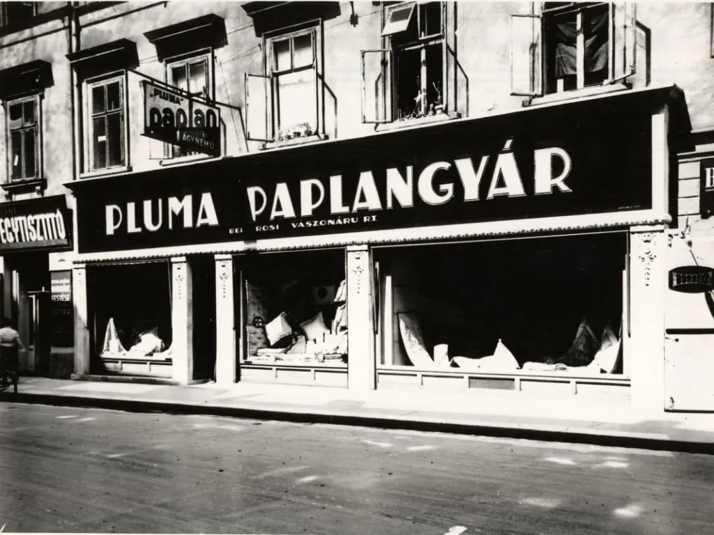 Pluma duvet store