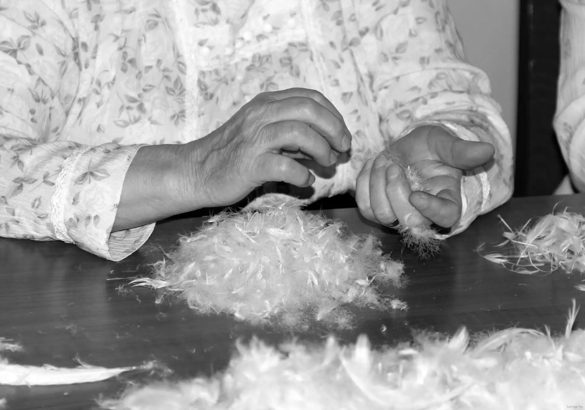woman sorting goose down by hand