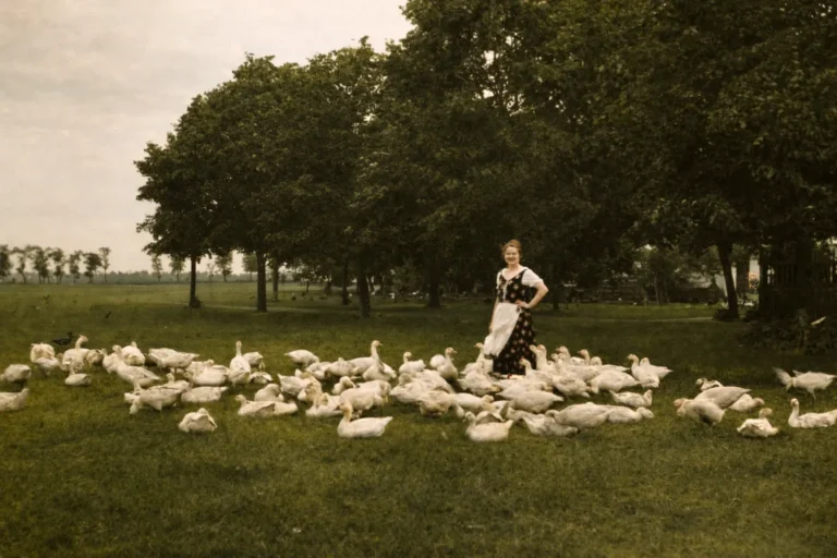 woman standing on a field and feeding geese